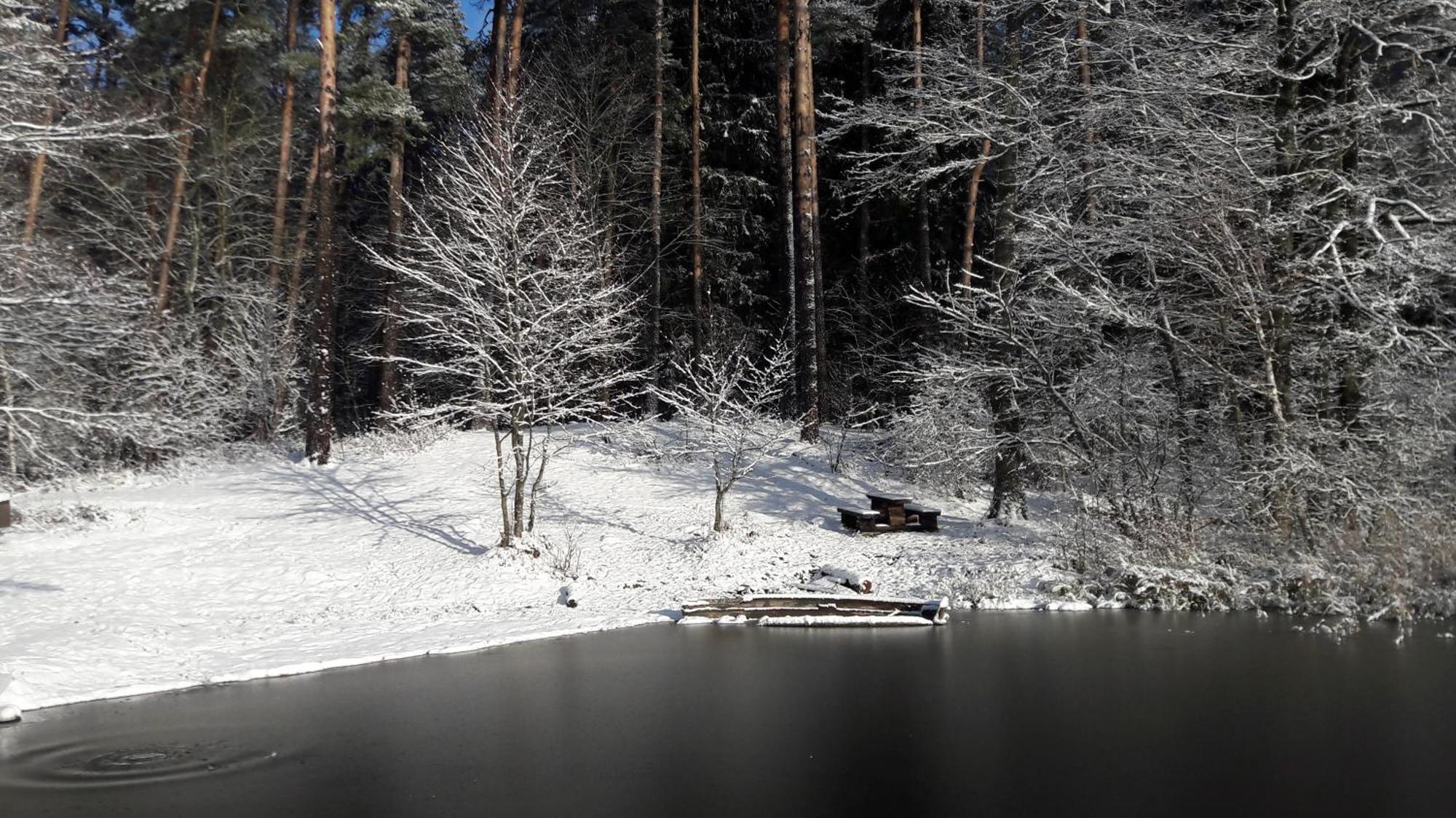 Apartamenty Jezioro I Las Mazury Powalczyn Bagian luar foto