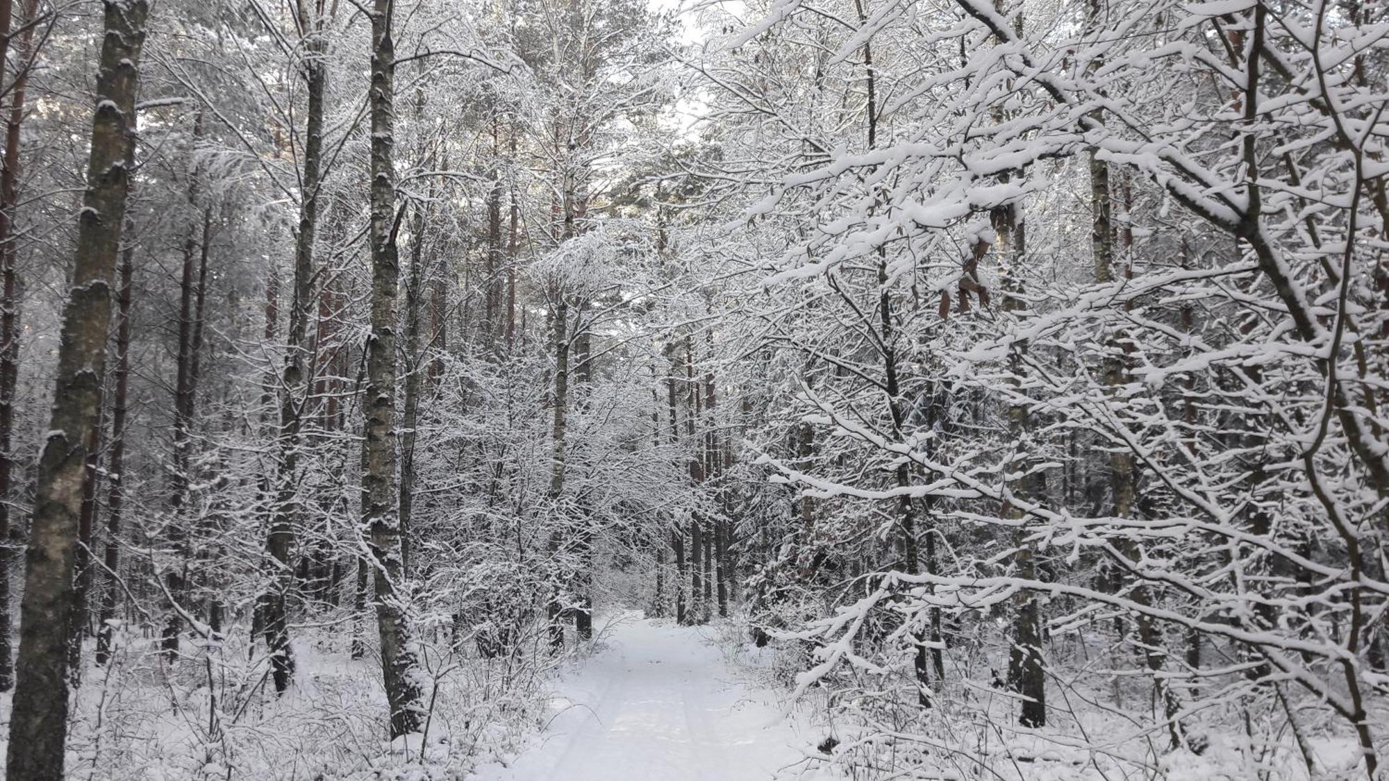 Apartamenty Jezioro I Las Mazury Powalczyn Bagian luar foto