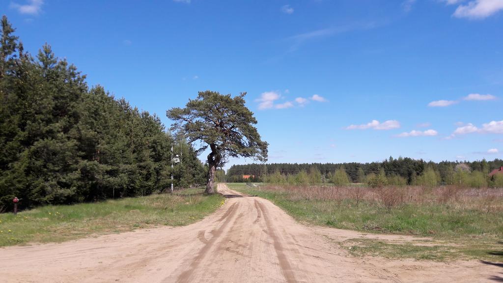 Apartamenty Jezioro I Las Mazury Powalczyn Bagian luar foto